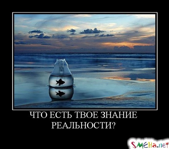 ЧТО ЕСТЬ ТВОЕ ЗНАНИЕ РЕАЛЬНОСТИ?