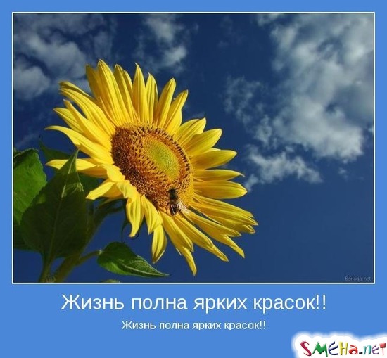 Жизнь полна ярких красок!!