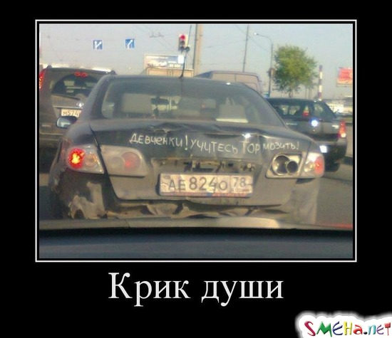 Крик души