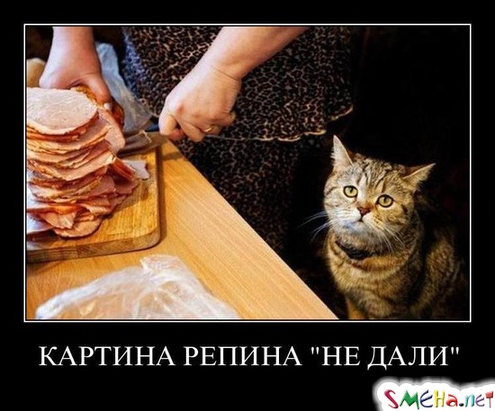КАРТИНА РЕПИНА