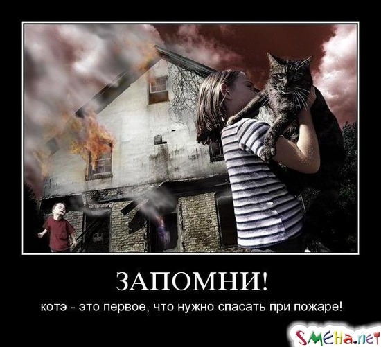 ЗАПОМНИ! - котэ - это первое, что нужно спасать при пожаре!