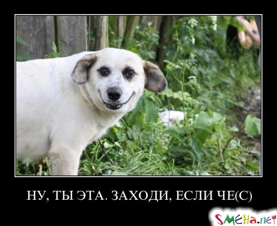 НУ, ТЫ ЭТА. ЗАХОДИ, ЕСЛИ ЧЕ (С)