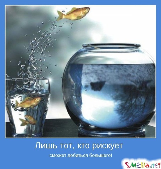 Лишь тот, кто рискует - сможет добиться большего!