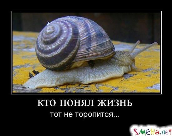 кто понял жизнь - тот не торопится...