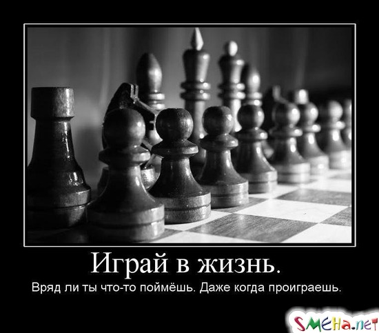 Играй в жизнь. - Вряд ли ты что-то поймёшь. Даже когда проиграешь.