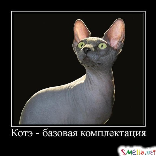 Котэ - базовая комплектация