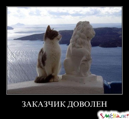 ЗАКАЗЧИК ДОВОЛЕН