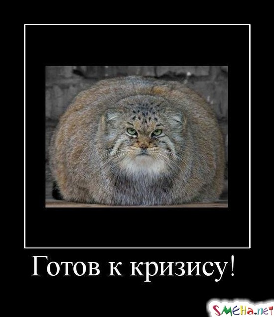 Готов к кризису!