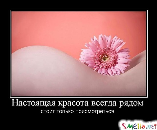 Настоящая красота всегда рядом - стоит только присмотреться