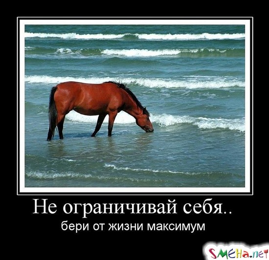 Не ограничивай себя.. - бери от жизни максимум