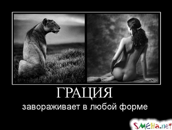 ГРАЦИЯ - завораживает в любой форме