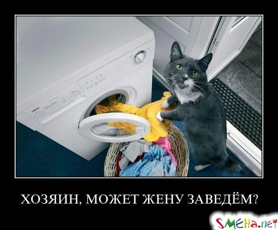 ХОЗЯИН, МОЖЕТ ЖЕНУ ЗАВЕДЁМ?
