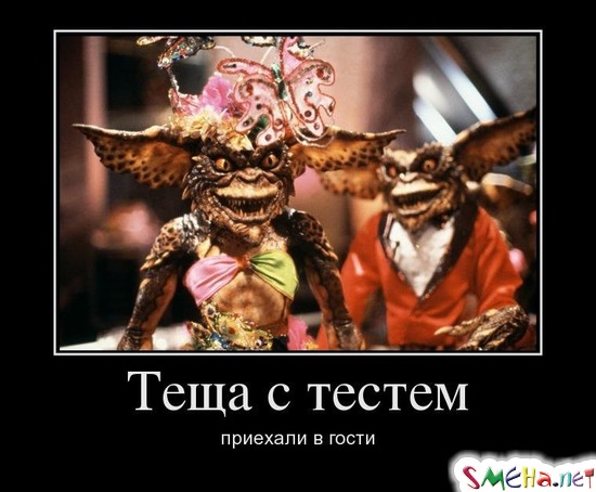 Теща с тестем приехали в гости