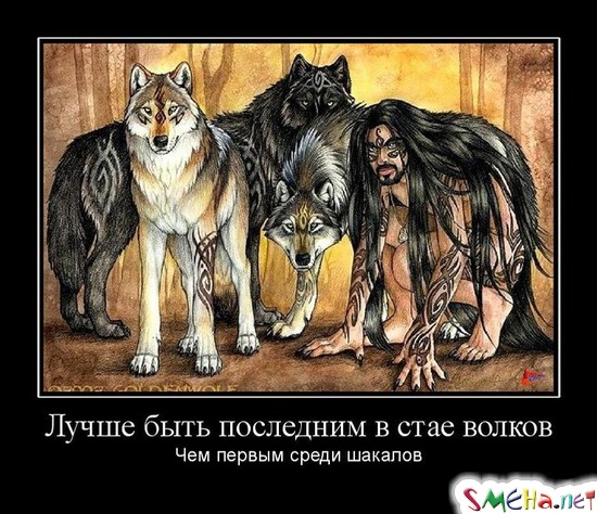 Лучше быть последним в стае волков - Чем первым среди шакалов