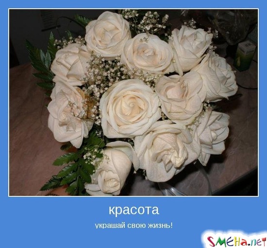 красота - украшай свою жизнь!