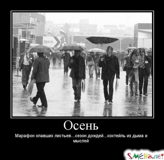 Осень - Марафон опавших листьев... сезон дождей... коктейль из дыма и мыслей