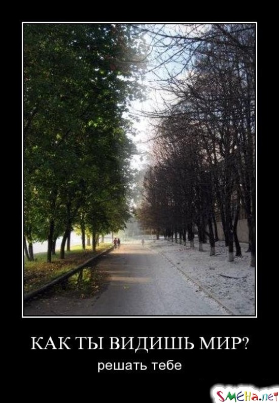 КАК ТЫ ВИДИШЬ МИР? - решать тебе