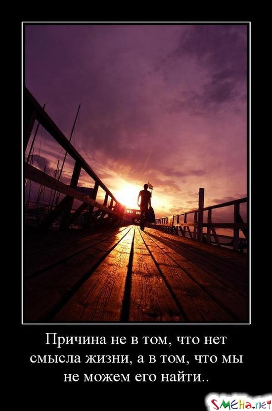 Причина не в том, что нет смысла жизни, а в том, что мы не можем его найти..