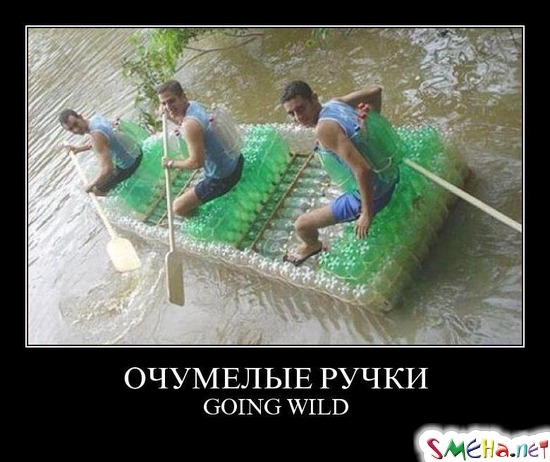 ОЧУМЕЛЫЕ РУЧКИ - GOING WILD