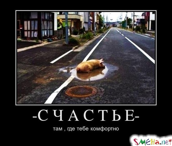 -СЧАСТЬЕ- там , где тебе комфортно