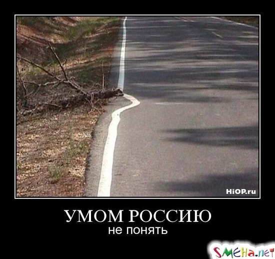 УМОМ РОССИЮ - не понять