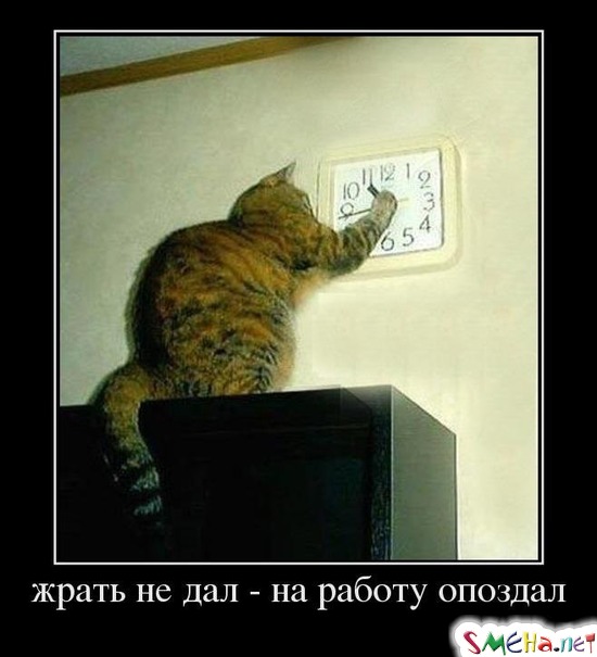 Жрать не дал - на работу опоздал