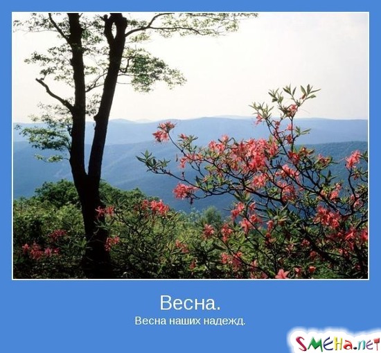 Весна. - Весна наших надежд.