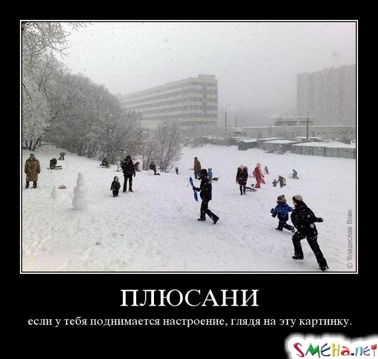 ПЛЮСАНИ - если у тебя поднимается настроение, глядя на эту картинку.