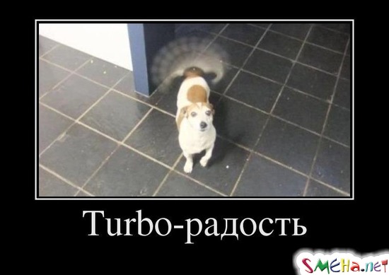 Turbo-радость