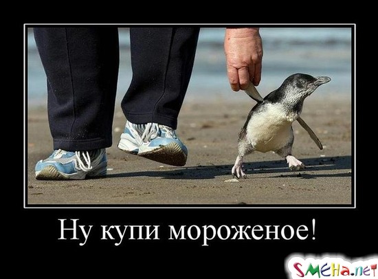 Ну купи мороженое!