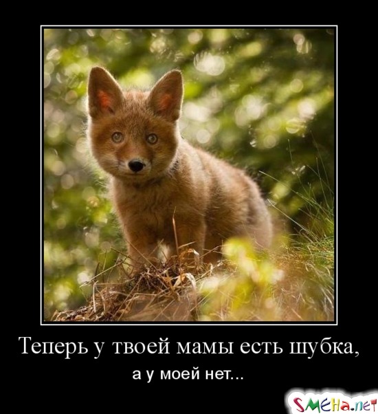 ТЕПЕРЬ У ТВОЕЙ МАМЫ ЕСТЬ ШУБКА - а у моей нет...