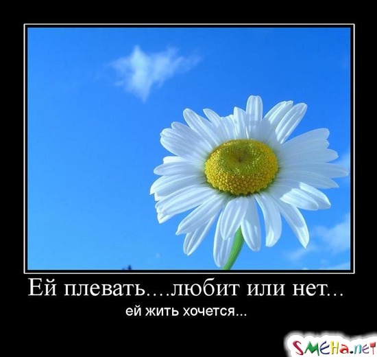 Ей плевать.... любит или нет... - ей жить хочется
