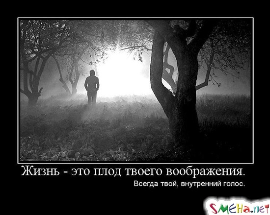 Жизнь - это плод твоего воображения. - Всегда твой внутренний голос.