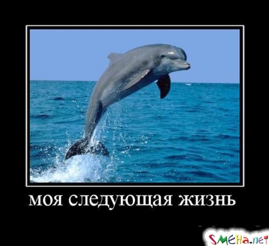 моя следующая жизнь
