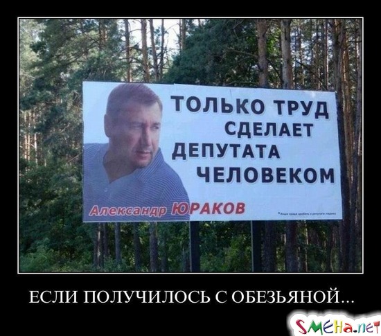 ЕСЛИ ПОЛУЧИЛОСЬ С ОБЕЗЬЯНОЙ...
