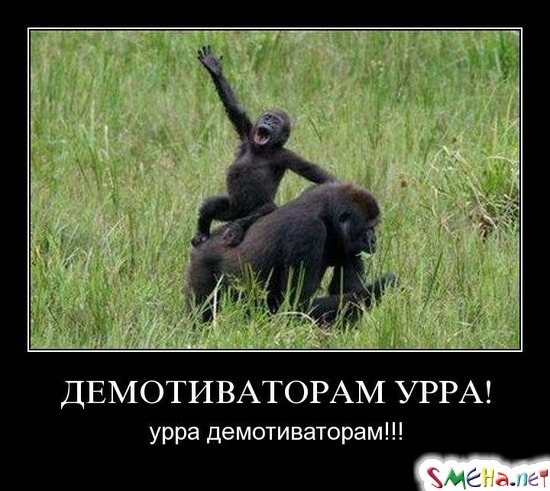 ДЕМОТИВАТОРАМ УРРА! - урра демотиваторам!!!