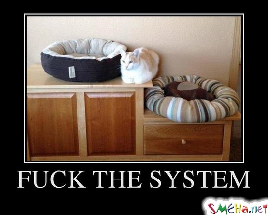 FUCK THE SYSTEM