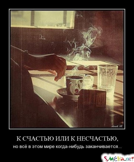 К СЧАСТЬЮ ИЛИ К НЕСЧАСТЬЮ, - но всё в этом мире когда-нибудь заканчивается...
