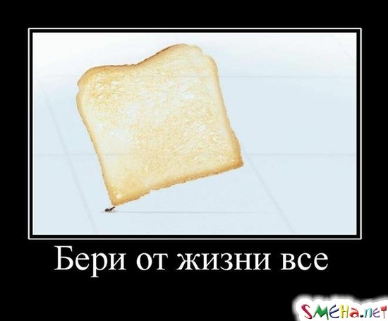 Бери от жизни все