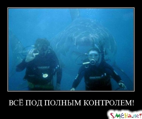 ВСЁ ПОД ПОЛНЫМ КОНТРОЛЕМ!