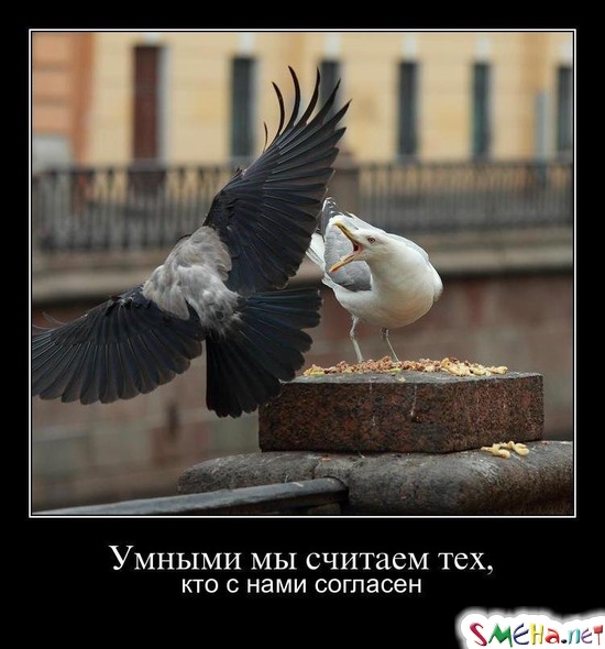 Умными мы считаем тех, кто с нами согласен