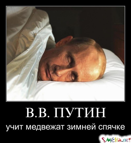В.В. ПУТИН - учит медвежат зимней спячке