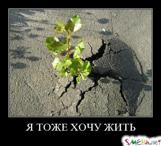 Я ТОЖЕ ХОЧУ ЖИТЬ