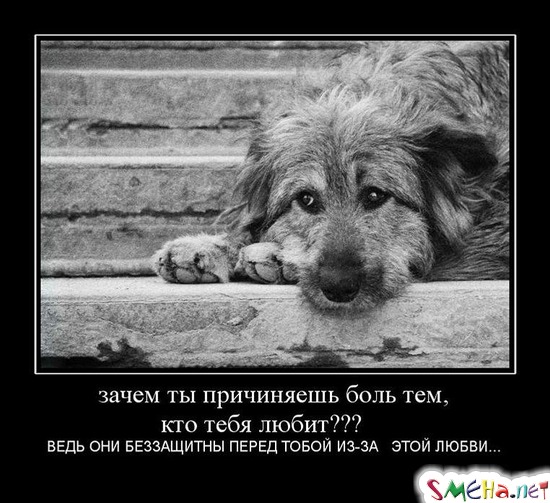 Зачем ты причиняешь боль тем, кто тебя любит???