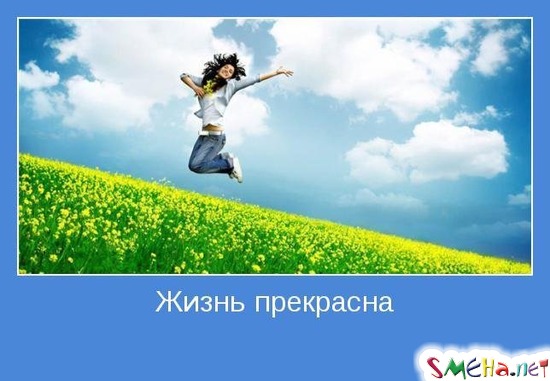 Жизнь прекрасна