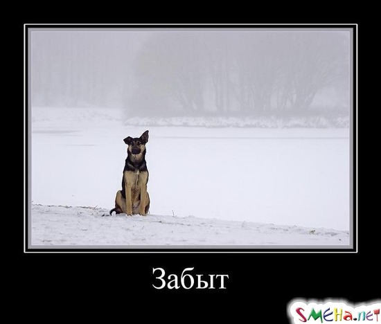 Забыт