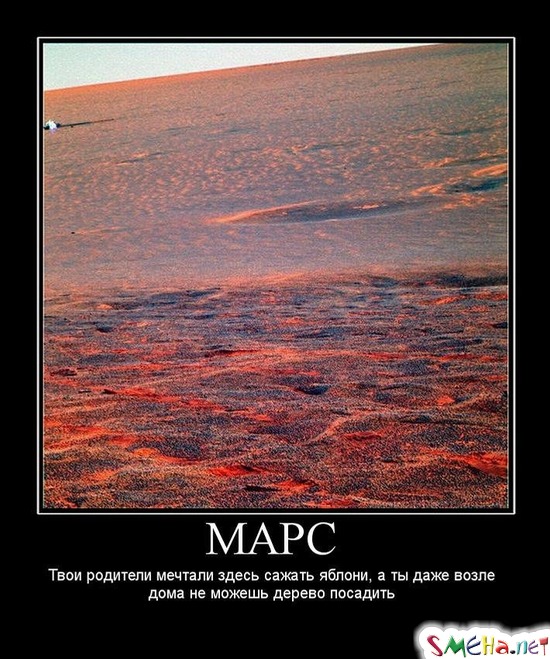 МАРС - Твои родители мечтали здесь сажать яблони, а ты даже возле дома не можешь дерево посадить.