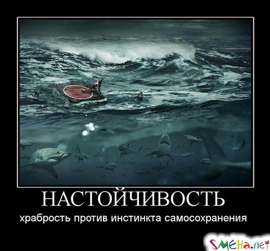 НАСТОЙЧИВОСТЬ - храбрость против инстинкта самосохранения