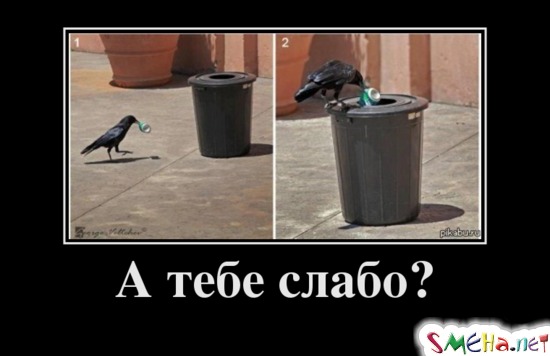 А тебе слабо?