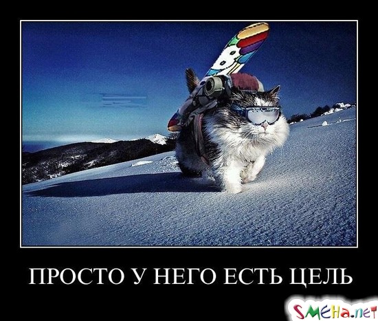 ПРОСТО У НЕГО ЕСТЬ ЦЕЛЬ
